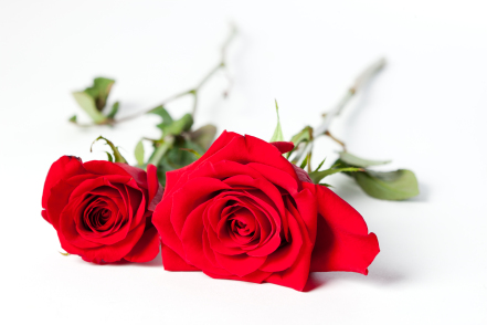 sich verlieben zum sprachen lernen